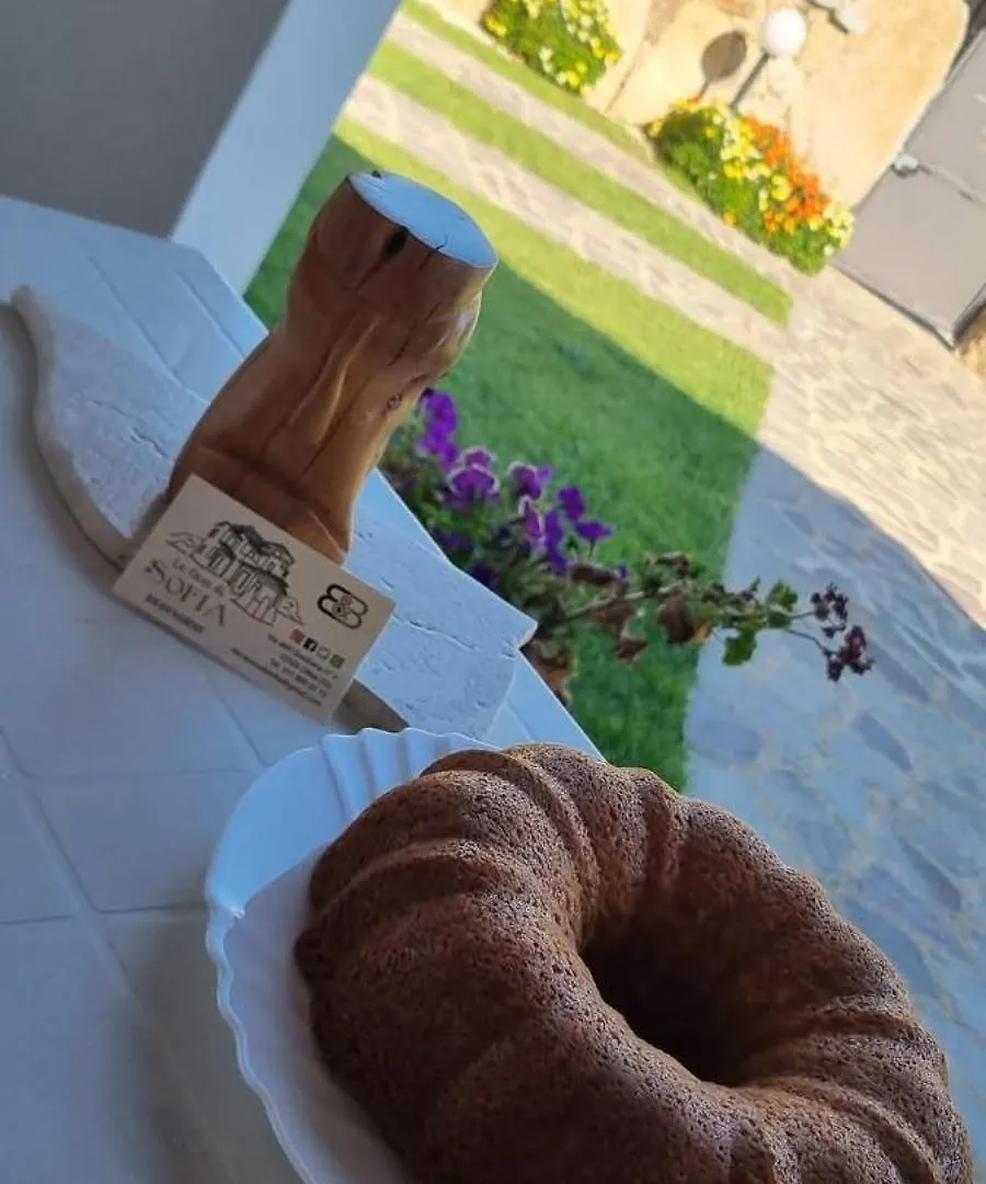 La Casa Di Sofia Hotel Olbia 0*,  Italy